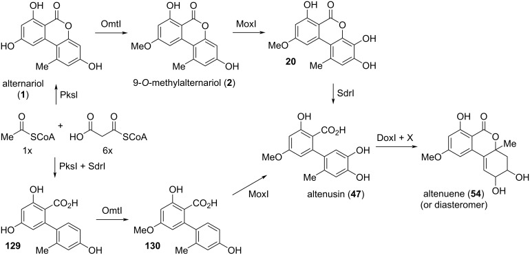 Scheme 3