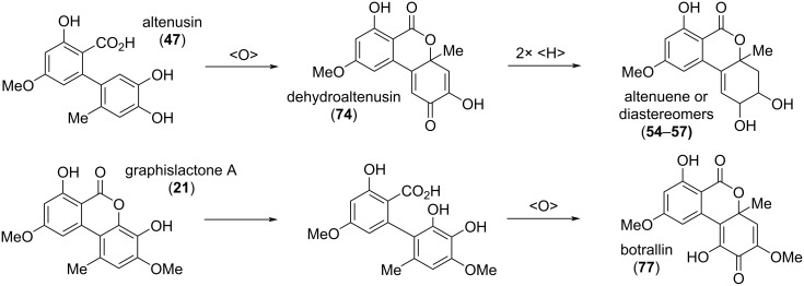 Scheme 4