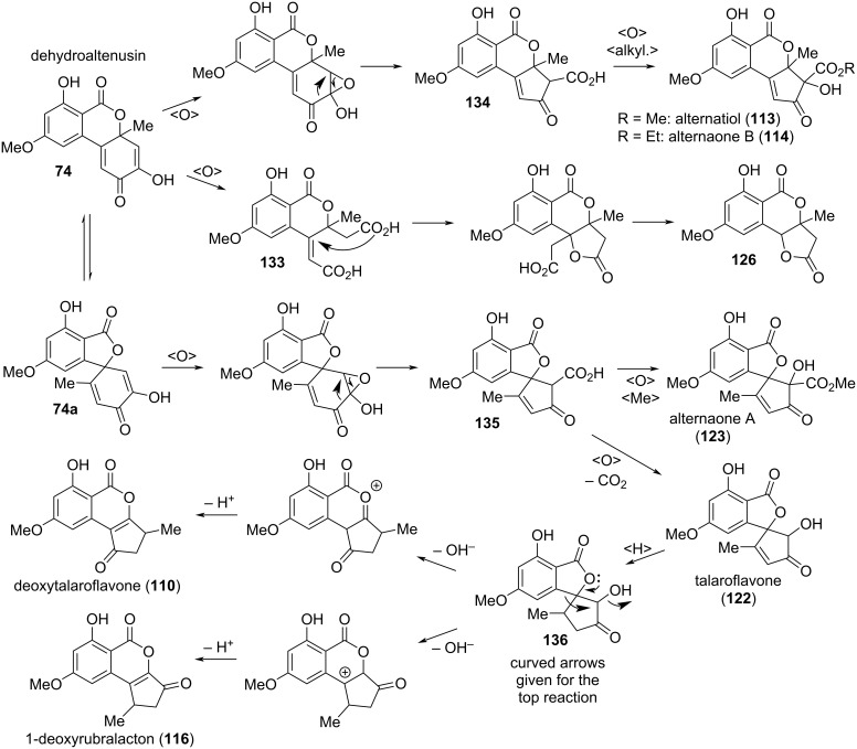 Scheme 6