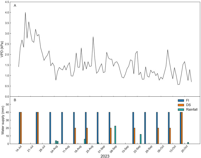 Figure 3
