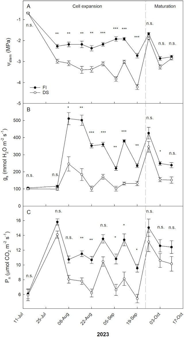 Figure 4