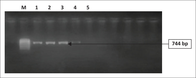 FIGURE 1