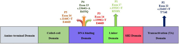 Figure 1