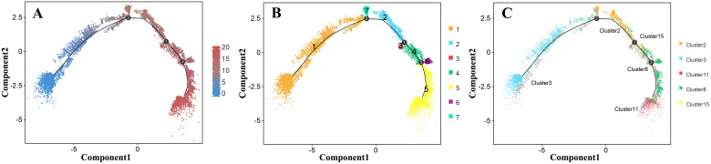 Figure 7