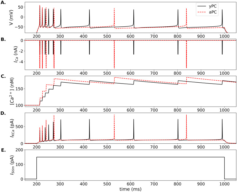 Figure 25