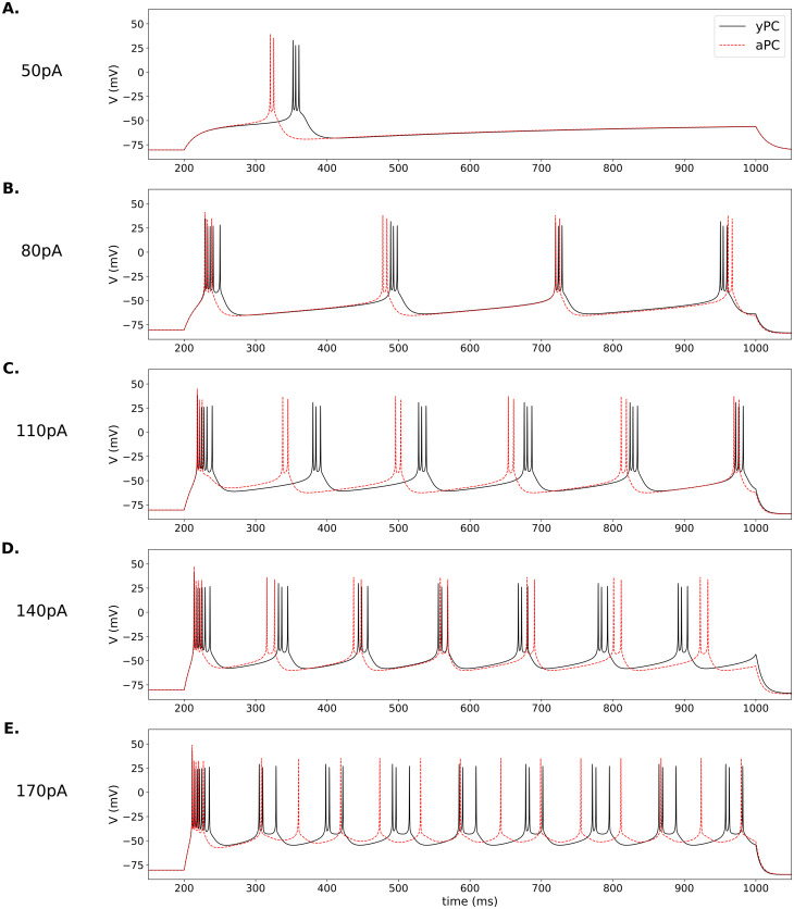 Figure 27