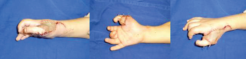 Figure 8