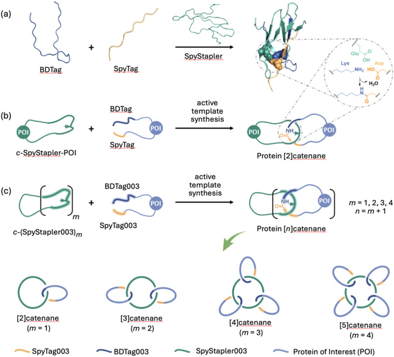 Figure 21