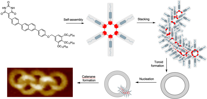 Figure 22