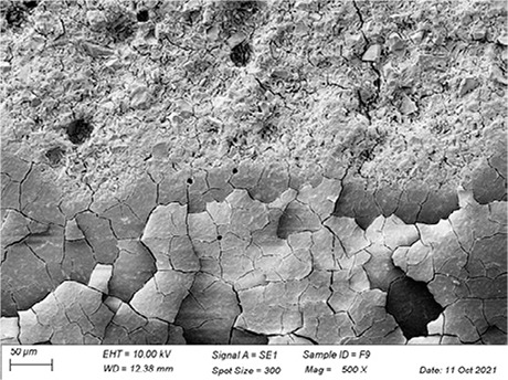 Figure 9
