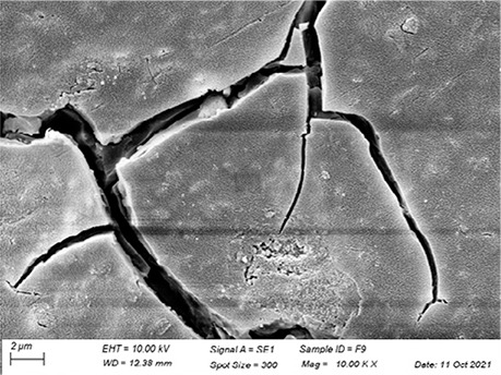 Figure 10