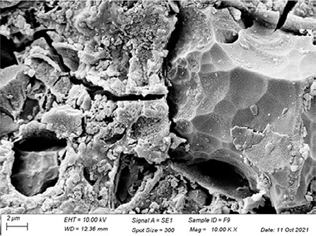 Figure 11