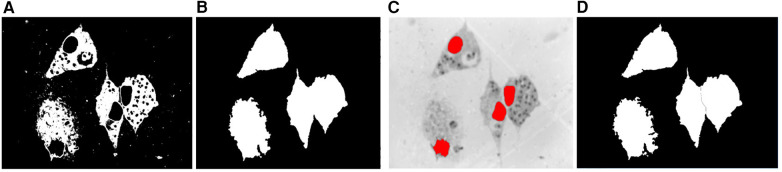 Figure 6