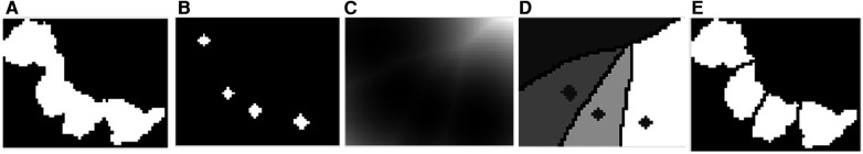 Figure 8
