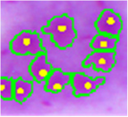 Figure 9