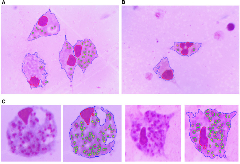 Figure 10