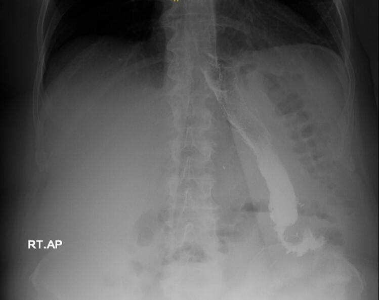 Figure 5