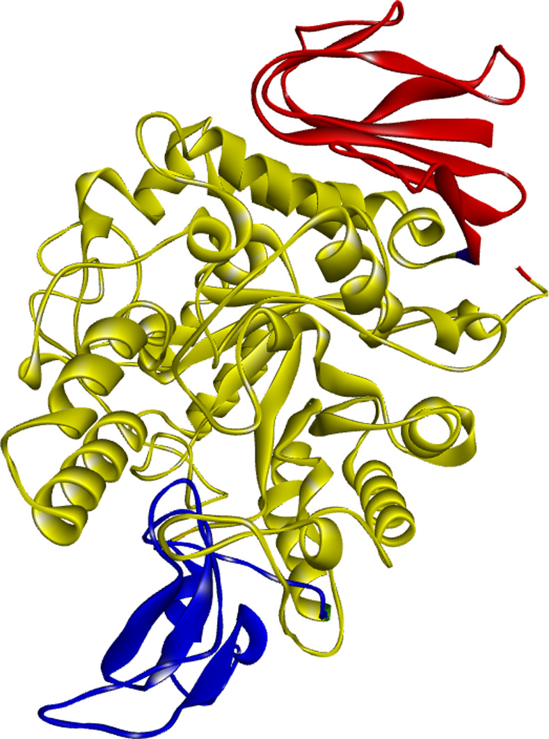 Figure 2