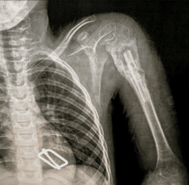 Figure 8