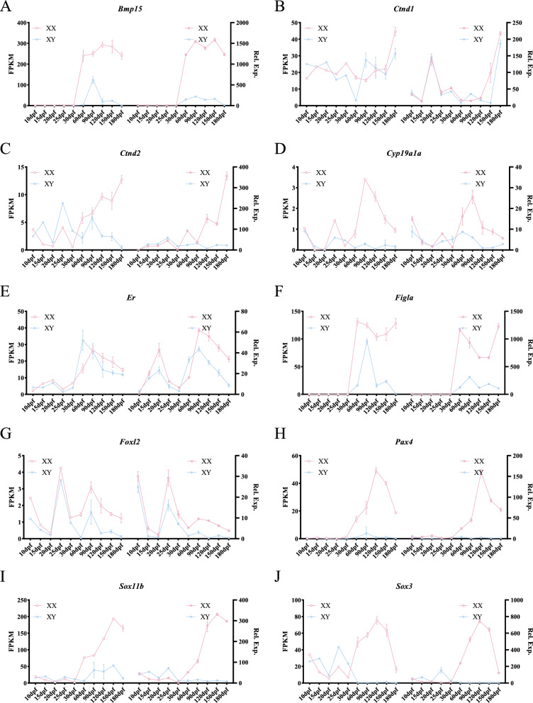 Figure 10
