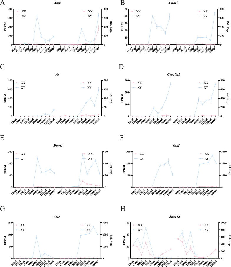 Figure 9