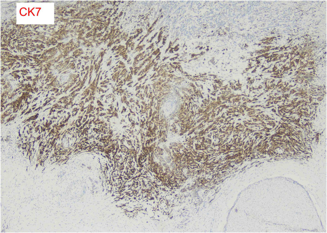 Figure 5