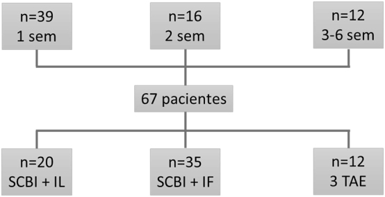 Figura 1