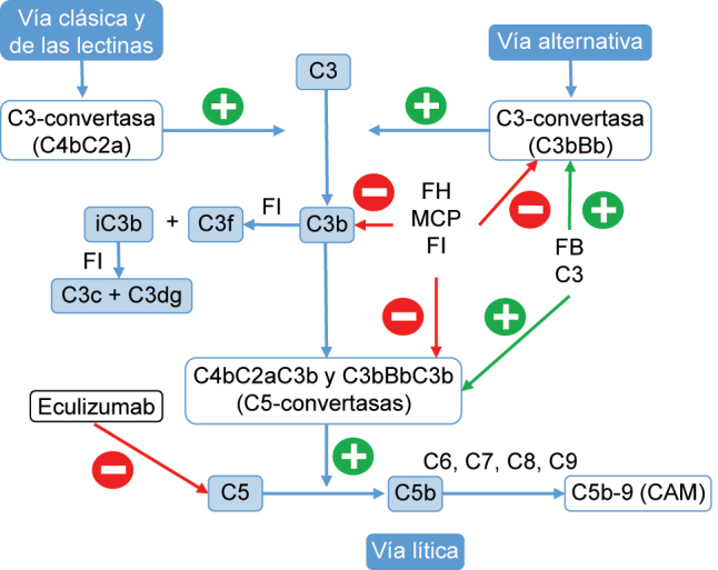 Figura 2