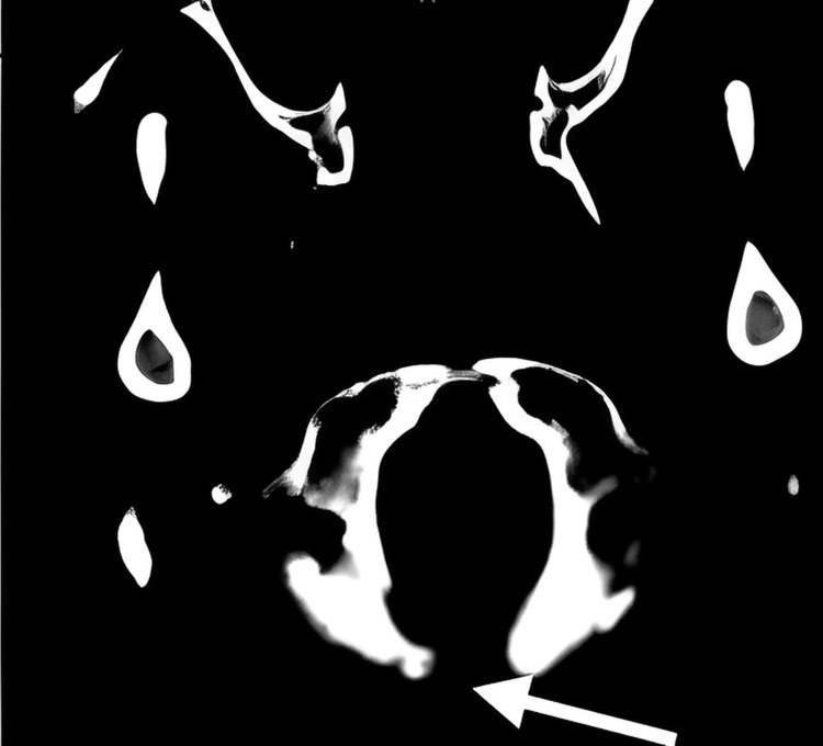 Figure 8