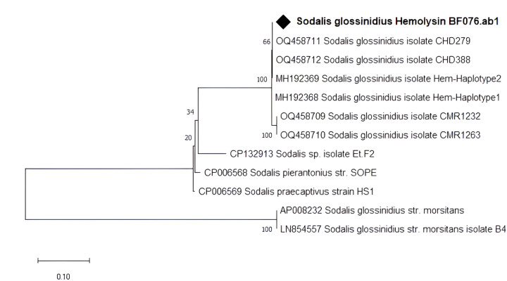 Figure 2