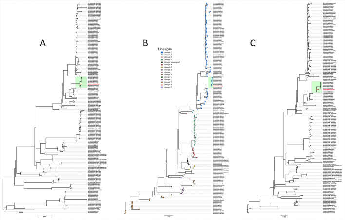 Fig 1