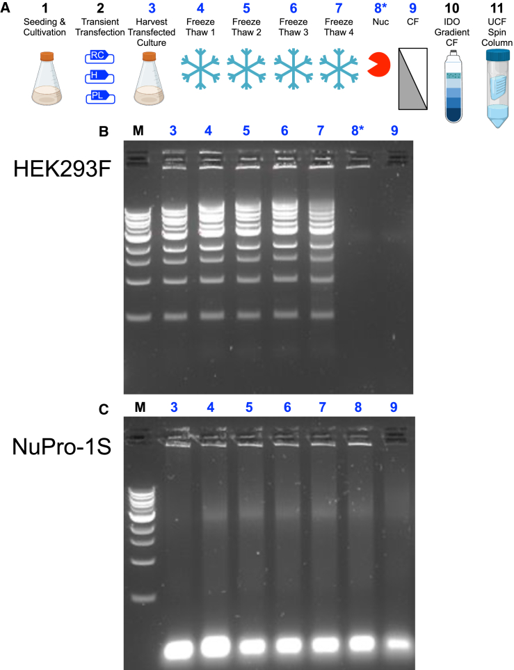 Figure 6