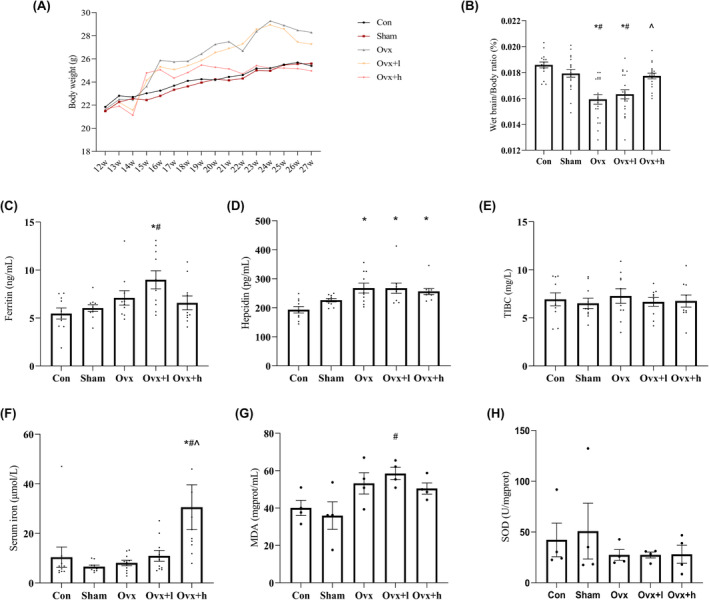FIGURE 3