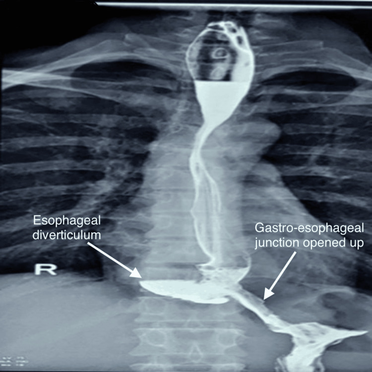 Figure 8