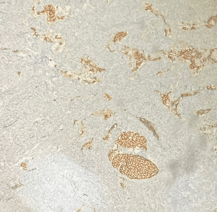 Figure 10
