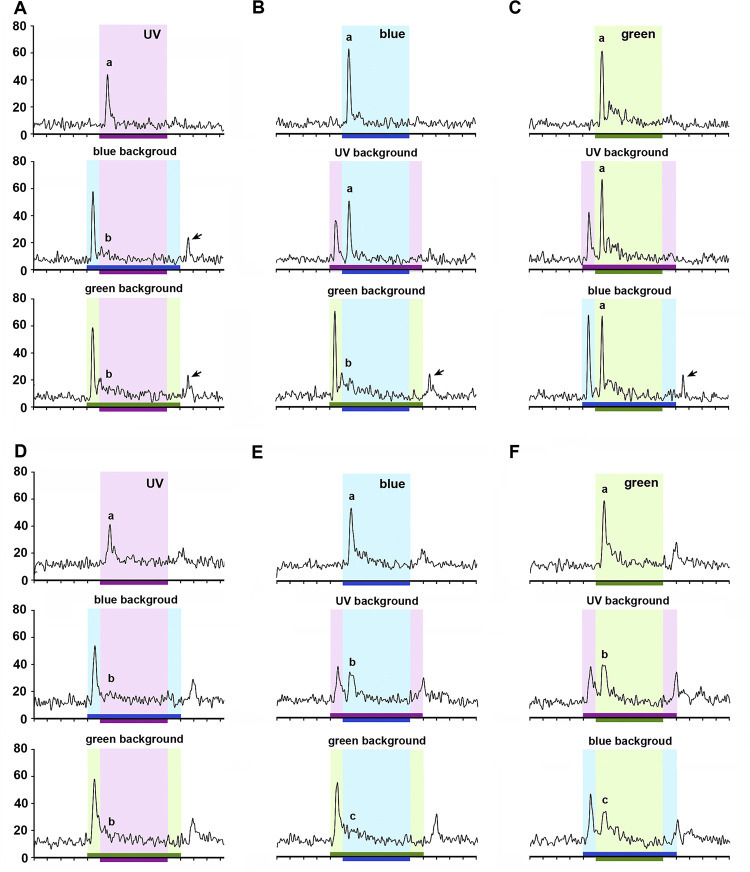 Fig 8