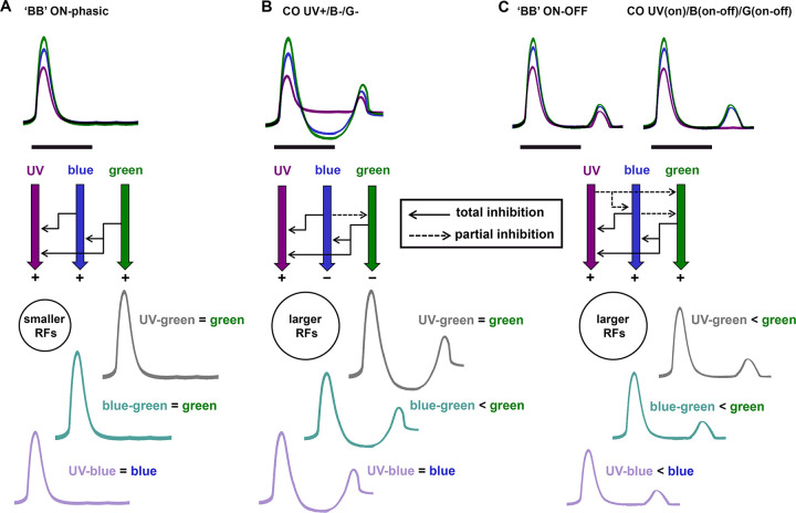 Fig 10