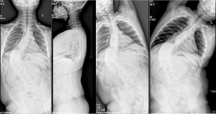 Fig 1