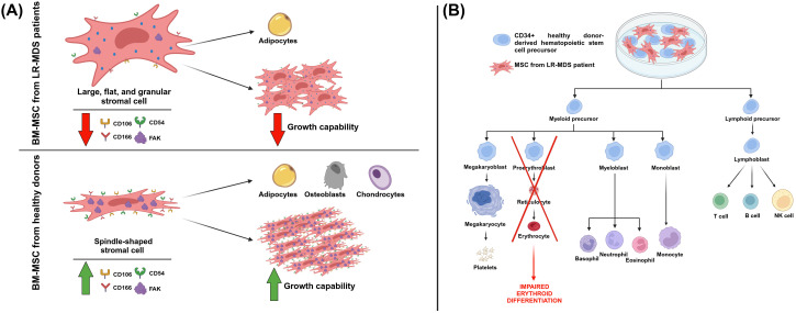 Figure 5