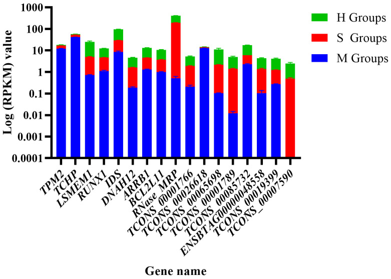 Figure 11