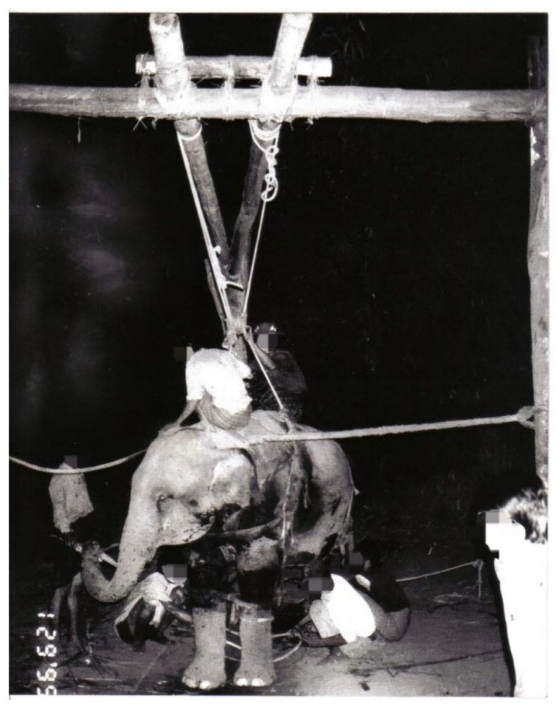 Figure 6