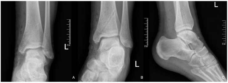 Figure 5
