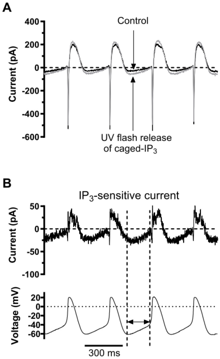 Figure 9