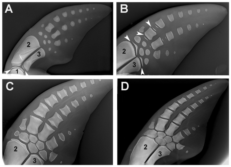 Figure 10