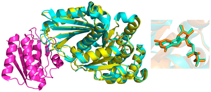 Figure 4