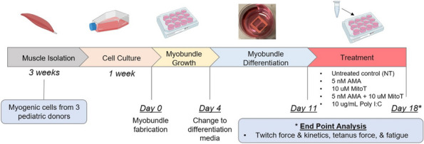 Figure 20