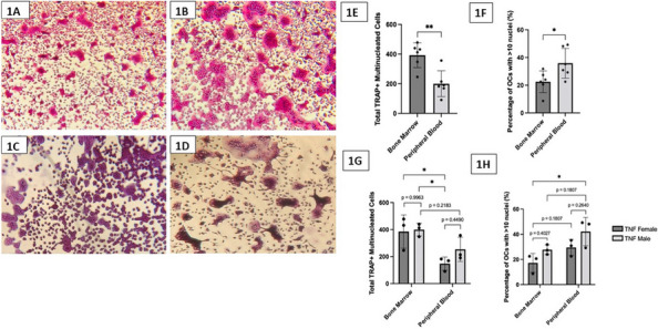 Figure 52