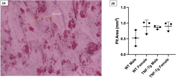 Figure 53