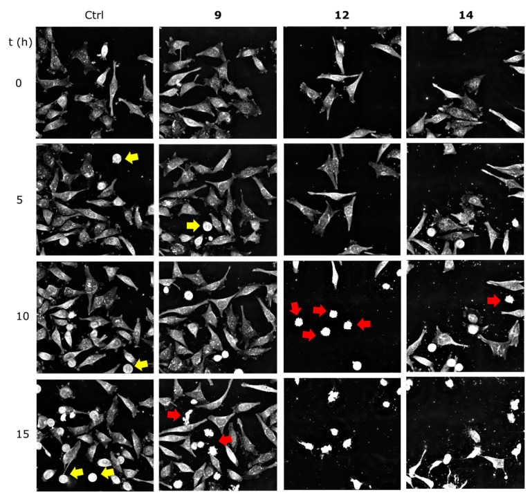 Figure 4