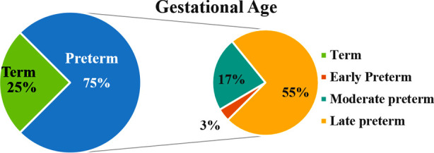 Fig.1